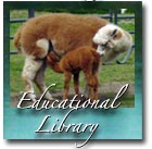 Educational Library