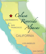 Colusa California map